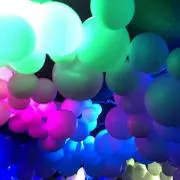 たか