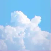 なしの画像