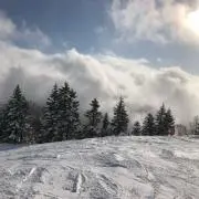 雪だるまの画像