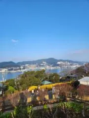 やんの画像