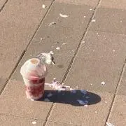 5u._31