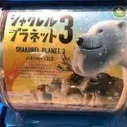 ☆シャクレルの画像