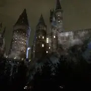虎キチ