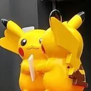 kota