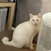 りょの画像