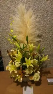 こまちの画像