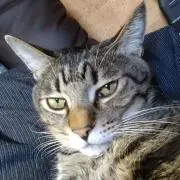 taka