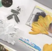 350mlの画像