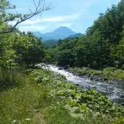 ゼフの画像
