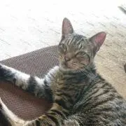 YUSHI1224⭐︎プロフ必読