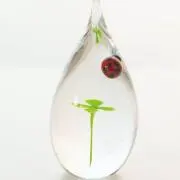 つくし