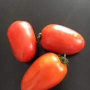 Ta Ko