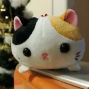 ひろこの画像