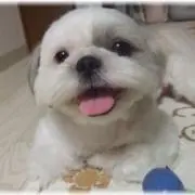 ゆう