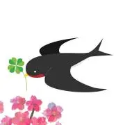 ★ツバメ24時までに購入で翌午前中発送の画像