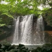 Yuの画像