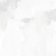 wt