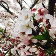 いっぱいあってなの画像