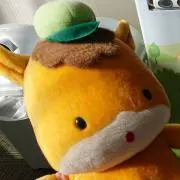 Chii.m