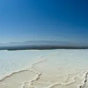 のりこの画像