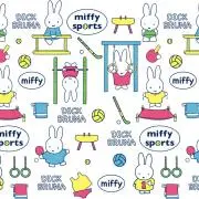 ミサトの画像