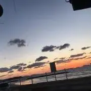 さいな