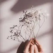 ナツミ※プロフ確認お願いしますの画像