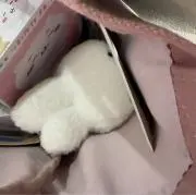ariの画像