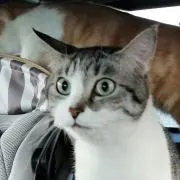 ひまり◎値下げ依頼OK◎の画像