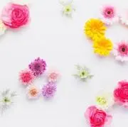 ころん⭐︎プロフ必読お願いします♪の画像