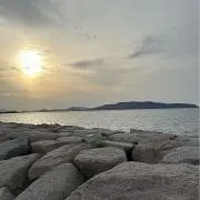 Kcの画像