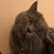 そらの画像