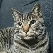 るん