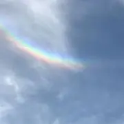 アジサイの画像