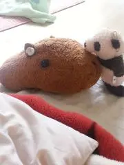ともみの画像