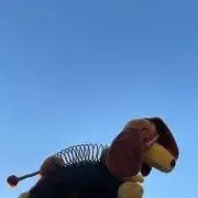SHUの画像