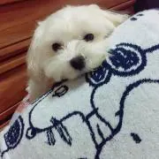 ゆみたん