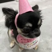 おこめの画像