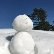 moonの画像