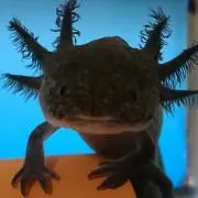 そら