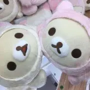ぴのの画像