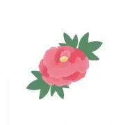 ぼたんの画像