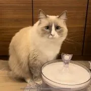 たけまる。の画像