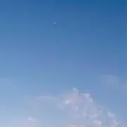 エリンギプールの画像