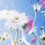 Yu♡ᵕ̈*⑅୨୧プロフ必読の画像