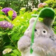 とっとの画像