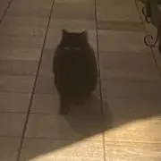 aの画像
