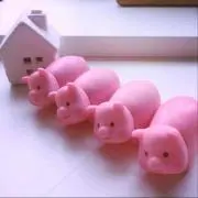 きのこたけのこ
