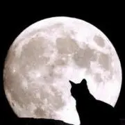 Myaaの画像