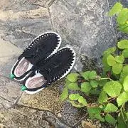 麒麟の画像